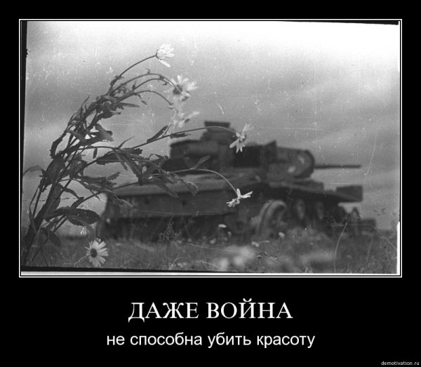 Демотиваторы про войну