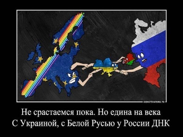 Россия Украина демотиваторы