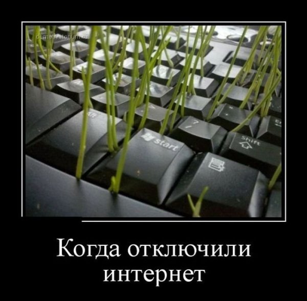 Приколы про интернет