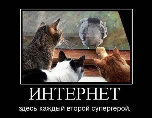 Смешные демотиваторы про интернет