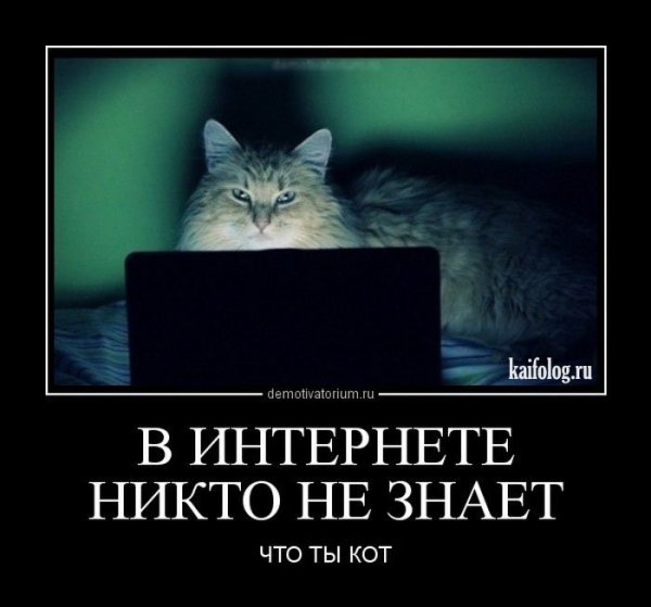 В интернете никто не знает что ты кот