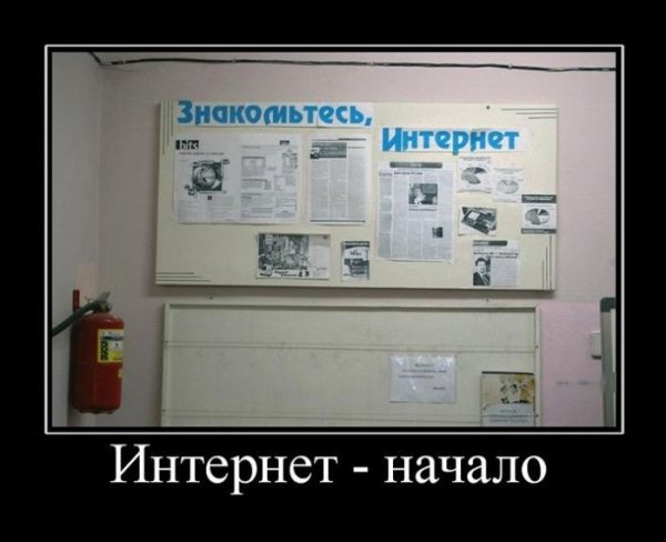 Провайдер прикол