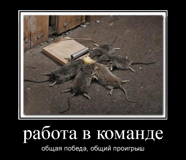 Приколы про фейковые страницы