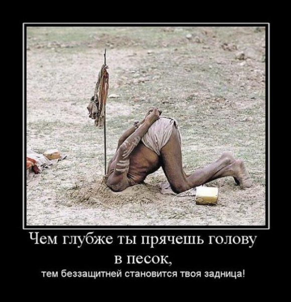 Расходимся нас наебали картинка