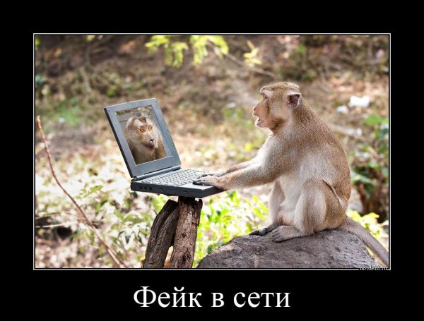 Специалист по удовлетворению женщин