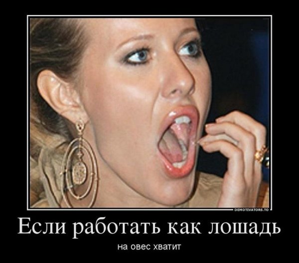 Демотиватор шуба