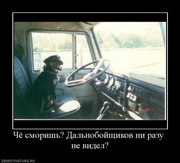 Приколы про дальнобойщиков
