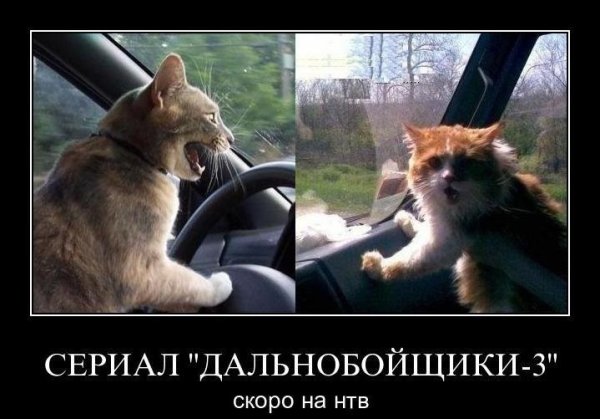 Тормози прикол