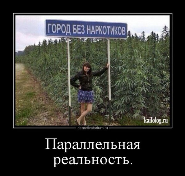 Наркотики жду