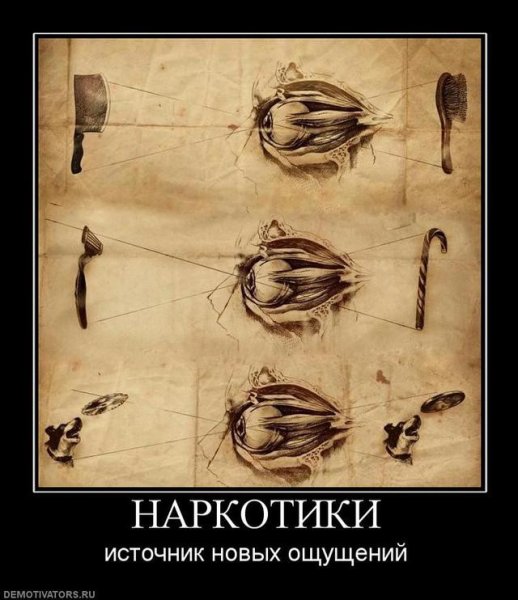 Пьющие девушки демотиваторы