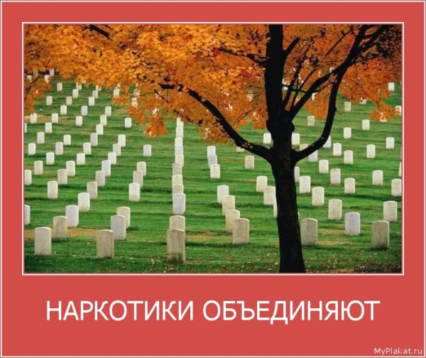 Наркомания демотиваторы