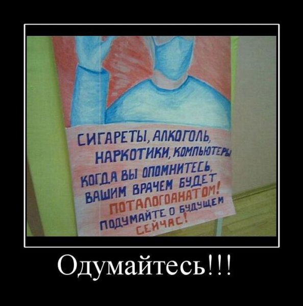 Наркомания с котами