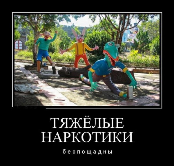 Нет наркотикам прикол