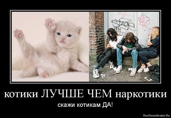 Аптека демотиватор