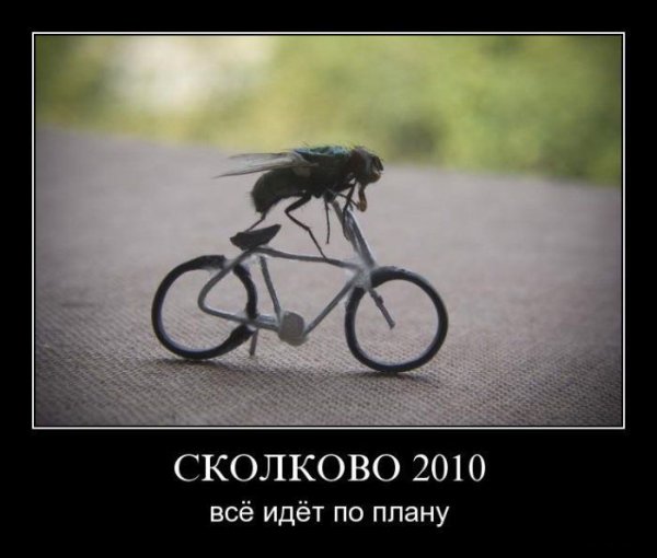 Демотиваторы про хобби