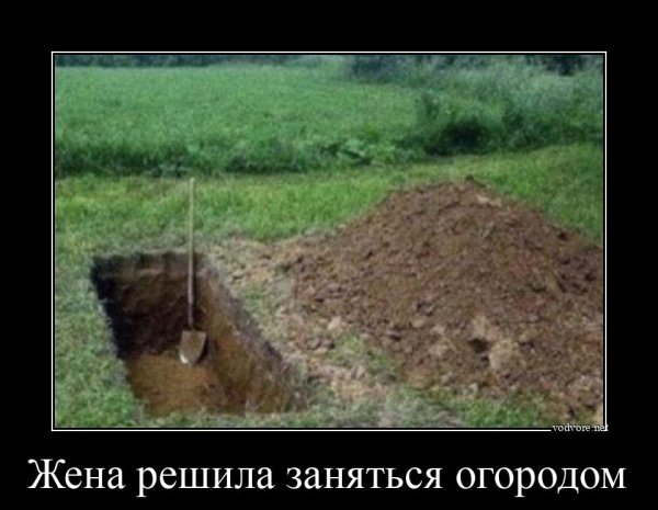 Демотиваторы 2005