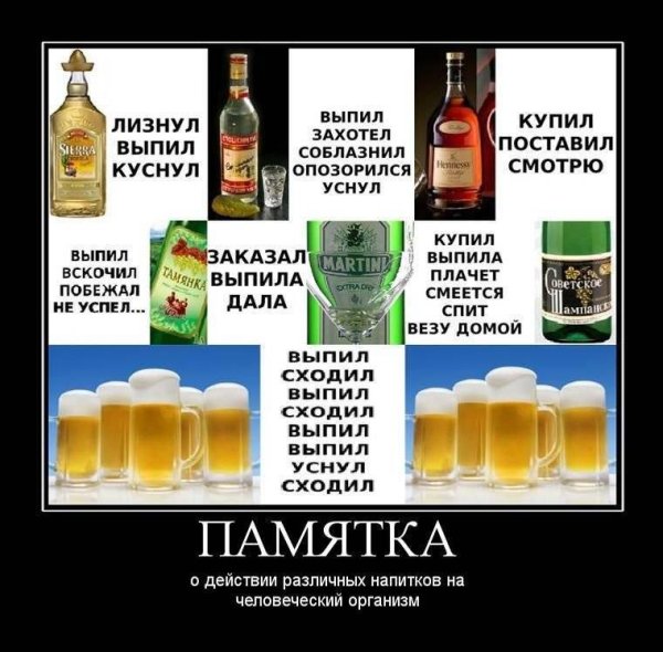 Приколы про алкоголь