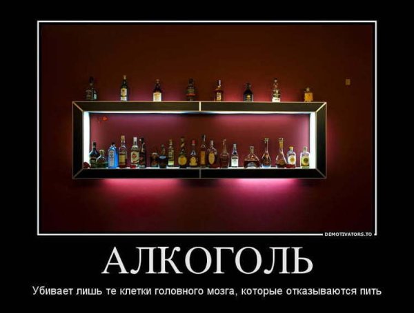 Приколы про спиртное