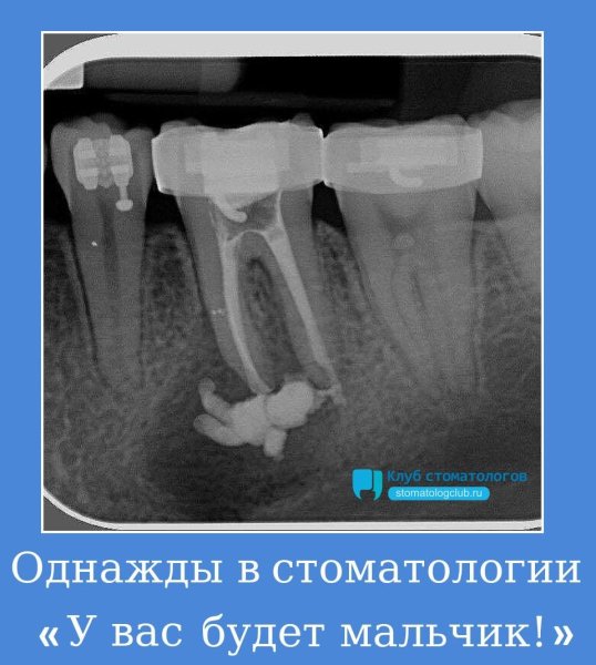 Афоризмы про стоматологов