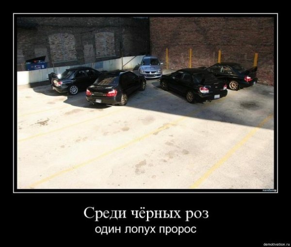 Смешные шутки про Субару