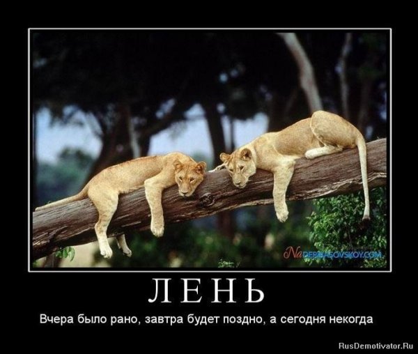 Демотиваторы про лень