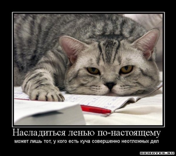 Лень двигатель прогресса
