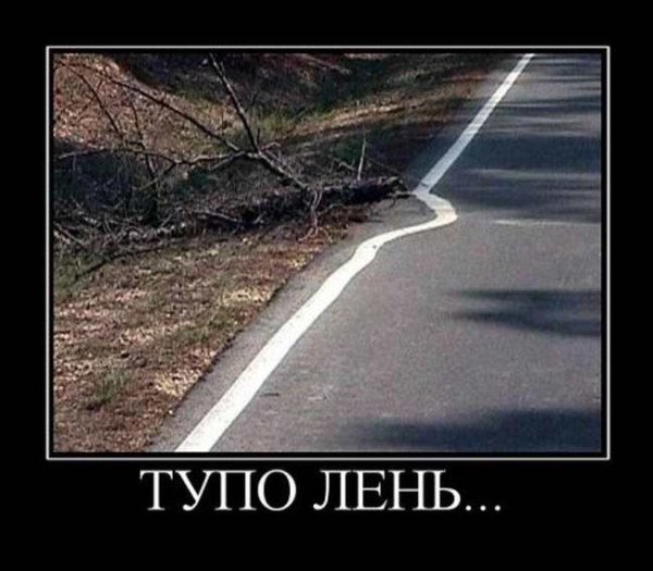 Лентяй демотиватор