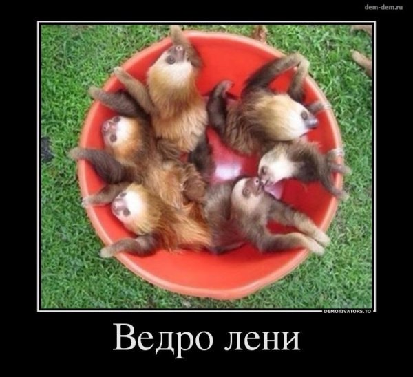 Лентяй демотиватор