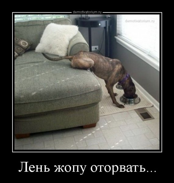Шутки про лень