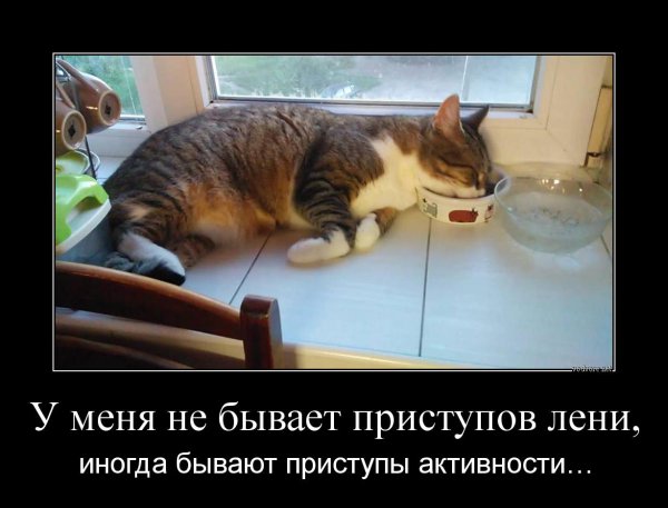 Лентяй демотиватор