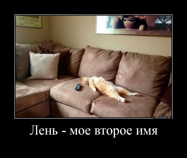 Демотиваторы про лень