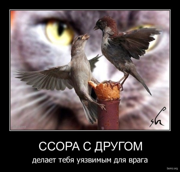Демотиваторы про ссоры