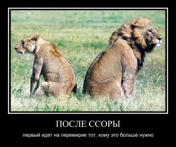 Демотиваторы про ссоры