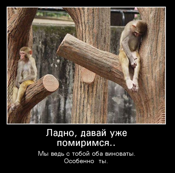 Ладно давай уже помиримся мы ведь с тобой оба виноваты особенно ты