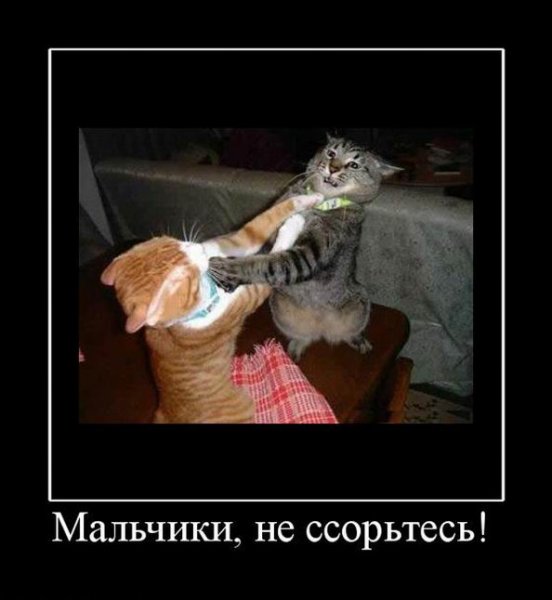 Демотиваторы про ссоры