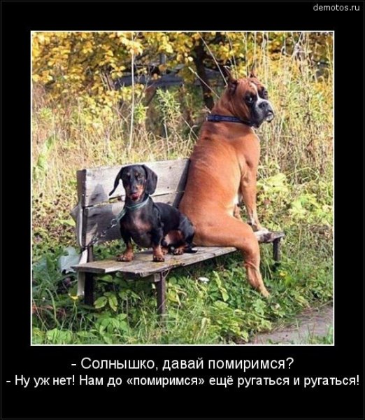 Давай помиримся