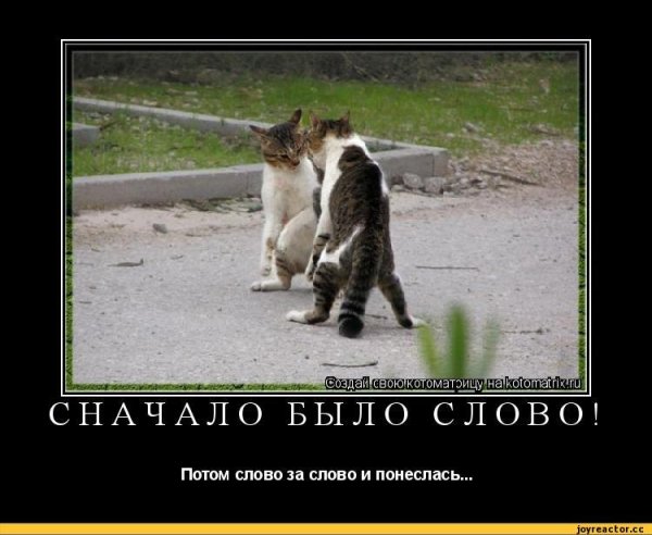 Приколы со словами