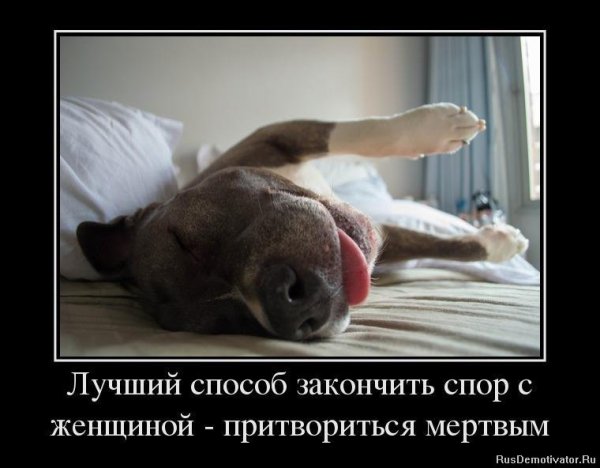 Лучший способ закончить спор с женщиной