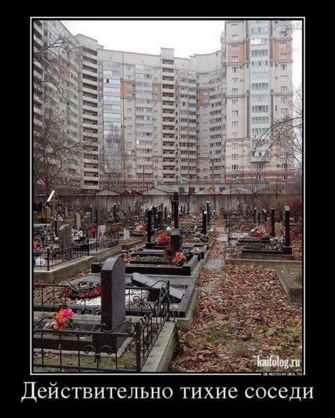 Необъяснимые демотиваторы