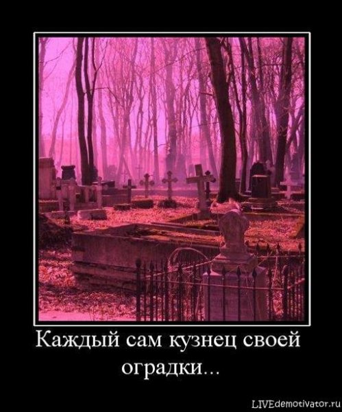 Прикол окно в будущее