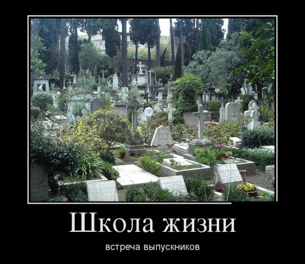 Демотиваторы про кладбище