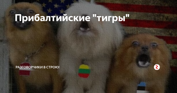Прибалтийские шавки