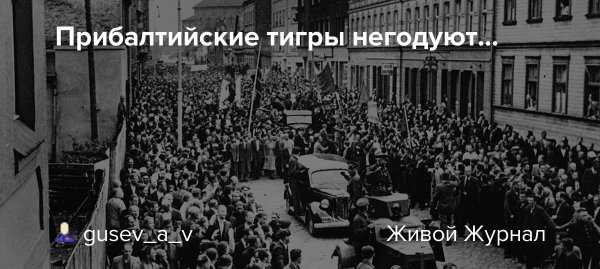 Картинки прибалтийские тигры