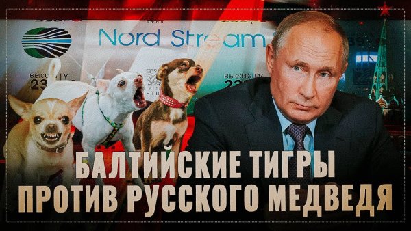 Прибалтика шавки