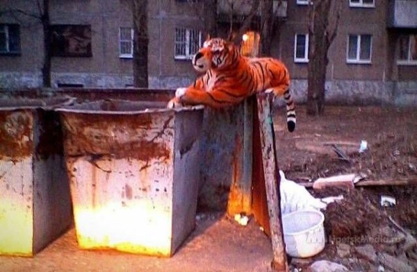 Прикольное такси демотиватор