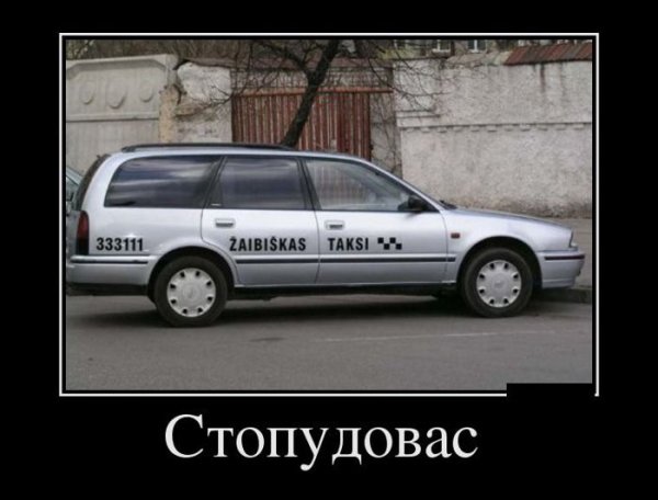 Юмор про тигров