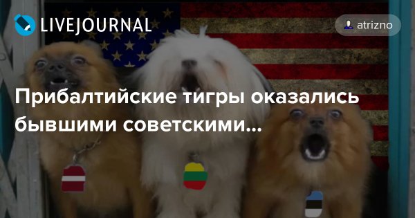 Латвия приколы
