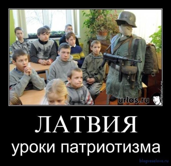 Прибалтийские тигры прикол