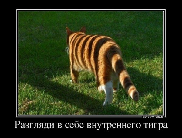 Демотиватор стабильный рост экономики