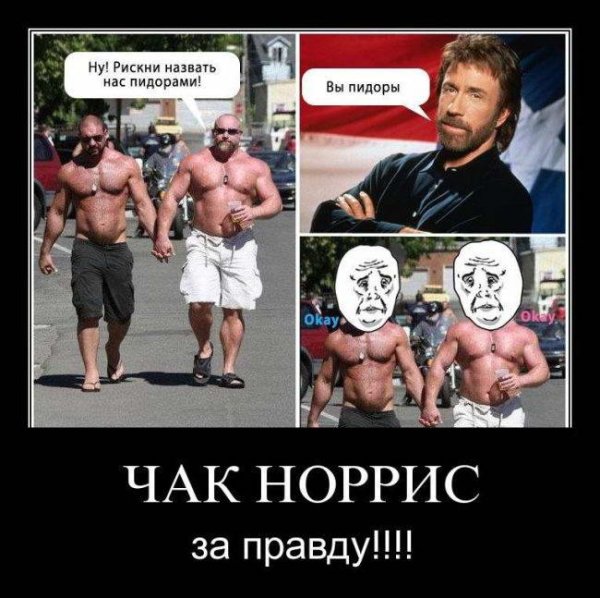 Чак Норрис демотиваторы